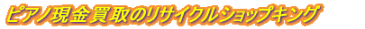 �s�A�m��������̃��T�C�N���V���b�v�L���O 